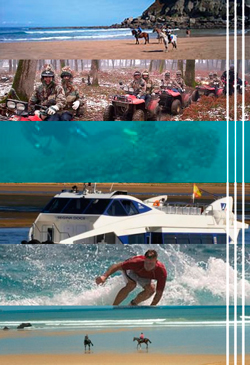 actividades Blog