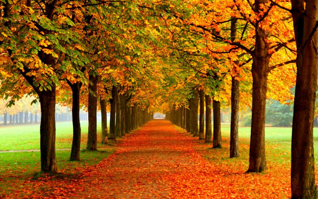 Oto o Mejor otoño que otros años en Cantabria Oto o Mejor otoño que otros años en Cantabria