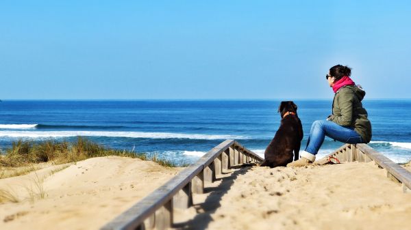 Playas con perros Blog